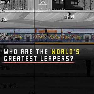 3.5M views · 10K reactions | We pitted some of nature's most incredible jumpers against each other in an epic leap-off! From the Kangaroo to big cats, they all have one thing in common: an extraordinary ability to soar through the air. But who will reign supreme? Can a human even come close? We've included the average human jump and Mike Powell's world record for comparison. | The Brain Maze | Facebook