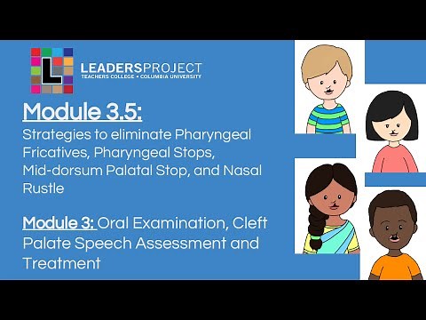 Module 3.5- Cleft Palate Speech and Feeding: Therapy for Cleft Palate Speech Errors