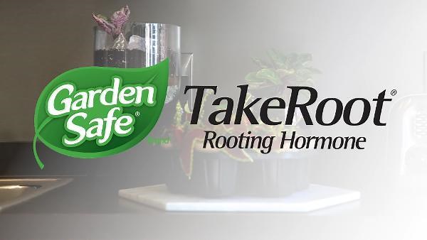 Garden Safe 2 oz. Take Root Rooting Hormone HG-93194-1