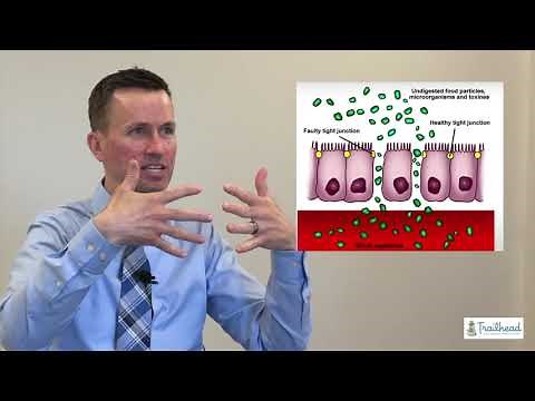 The Leaky Gut Protocol That Actually Works!