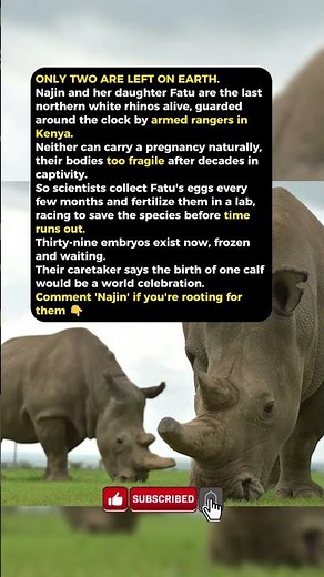 Only 2 of Her Kind Are Left Alive on Earth