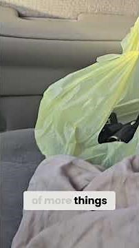 Car Seat Belt Troubles: See How I Fixed It! DIY Edition