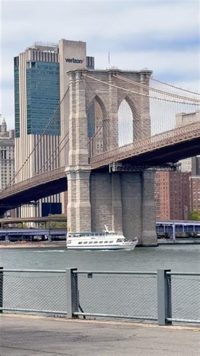 Brooklyn Bridge Park Poll 🌉🌿
