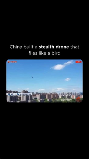 AI | Technology | Business on Instagram: "🕊️ What if the drone watching you looked exactly like a bird? China is testing a biomimetic drone that flaps its wings instead of using noisy rotors 🤯. Its body blends seamlessly with wildlife, and its flight pattern copies real birds so closely it’s nearly impossible to spot from the ground 👀🌊. 🎥 Footage appears to show special forces releasing it during a coastal exercise. 🤫 No buzzing. No obvious silhouette. 🧠 Just silent surveillance over land