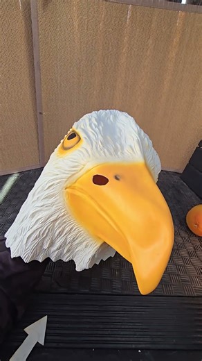 Why I Bought This USA Bald Eagle Mask for Halloween this Year