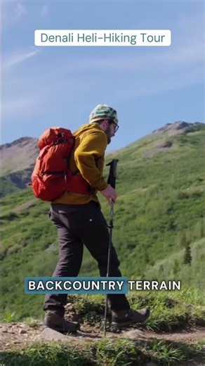 How to See Denali Mountain in Alaska