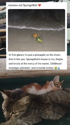 “The Saddest SpongeBob Moment You’ll Ever See 🍍💔” #fun #jokes #memes #laugh #shorts