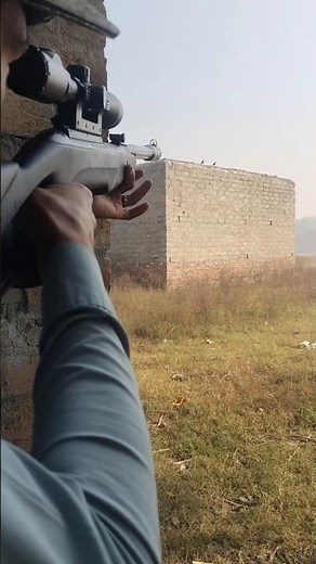 Powerful Airgun Shooting birds Test | Precision & Accuracy Review