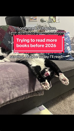 This reading slump will not leave. 😭 I blame #heatedrivalry 🥲❤️❤️are you trying to squish in one more read before 2026? #booktok #yearinbooks #readingwrapup #allforthegame