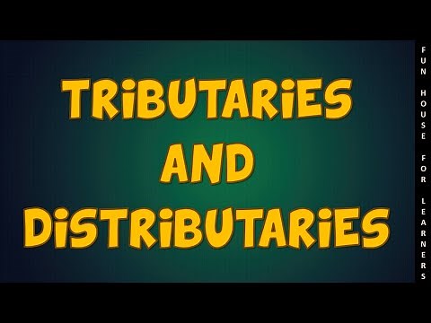 Tributaries and Distributaries #funhouseforlearners #fhl #itsfuntolearn