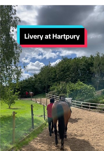 Livery Services at Hartpury College for Equestrian Students