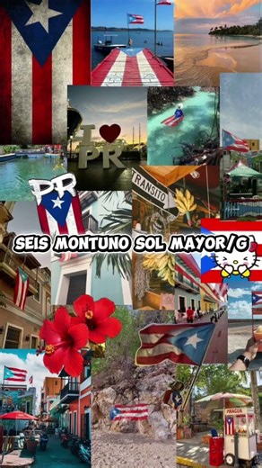 SEIS MONTUNO #cuatropuertorriqueño🇵🇷
