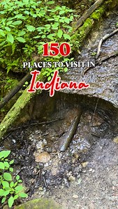 150 Places to Visit in Indiana - 9. Shades State Park is known for its rugged sandstone ravines and forested trailsIt’s about 1 hour northwest of Indianapolis and just 25 minutes from Crawfordsville, making it an easy day trip or weekend stop. Visitor details: • Open year-round • Indiana state park entrance fee required (in-state and out-of-state rates apply) • Trails range from moderate to rugged—expect steep stairs, narrow paths, and uneven terrain in the ravines • Limited cell service, so dow