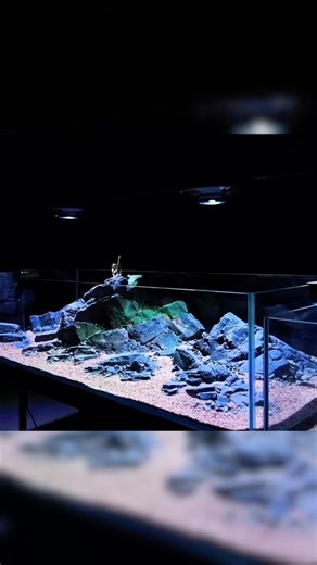 DIY Natural Stream Biome, Stream Biotope Masterclass From Wild to Aquarium, aquarium youtube channel