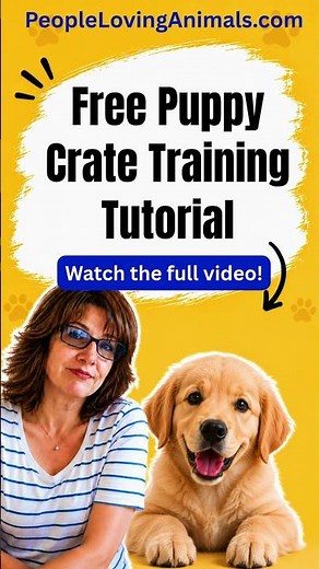 Free puppy crate training tutorial | crate training puppies | how to crate train a puppy