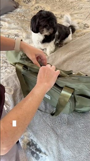 This Foldable Travel Bag Solves Overpacking ✈️