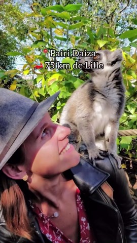 Les Sorties d'une Lilloise on Instagram: "9 idées sorties en Belgique à 1h30 de Lille Prêt pour une escapade chez nous voisins belges 1️⃣ Tournai à 25 km de Lille 2️⃣ Courtrai à 30 km de Lille 3️⃣ Gand à 75 km de Lille n’hésitez plus pas à checker mon reel avec toutes mes bonnes adresses là bas 4️⃣ Pairi Daiza à 75 km de Lille un superbe parc animalier pour un magnifique voyage à travers les 5 continents 5️⃣ Bruges à 80 km de Lille vous trouverez également un réel bonnes adresses sur mon feed 6️