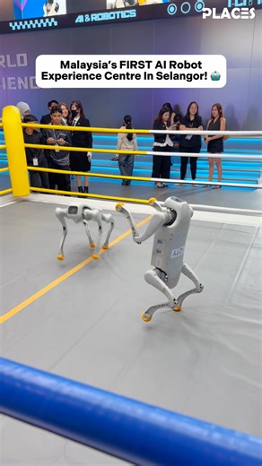 New AI World opens at i-City, Shah Alam! 🤖🌏 . Adding a new dynamic area into i-City, AI World introduces advanced AI robot demonstrations into their park! 🦾🦿 . 🔎 What to look out for: 🤖 Conversational AI Robot 🤖 Whack-a-mole VR Robot 🤖 Robot Bartender 🤖 Robot Footballer 🤖 AI Robot Dogs 🤖 AI Classroom 🤩 And more to come! . [AI World i-City] 📍Golden Triangle, I-City, 40000 Shah Alam, Selangor ✅ 5:30PM - 12AM . . . #AIWorld #icity #ai #shahalam #malaysia | Places Malaysia