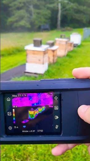 🌡️ Thermal Camera Hive Check: How Finish Affects Beehive Temperature! 🐝🔥 #beerescue