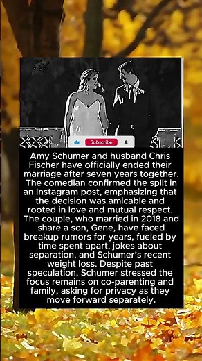 Amy Schumer Confirms Divorce After 7 Years: The Truth Behind the Split #celebrity