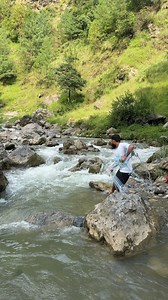 218K views · 924 reactions | In the world of water, the net is king #netfishing #fish #nature #mountains #catchingfish | Net Fishing with Hamza | Facebook