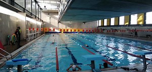 ‼️ÚLTIMA SEMANA‼️ ✅🏊😮$0 INSCRIPCIÓN MÁS BONIFICACIÓN DEL 50% DE TU 1ER. MENSUALIDAD 🥳🏊🏅 Natación🏊 , Gym🏋️ & Fitness🧘 🏊Alberca Semi-Olímpica.🏋️Gimnasio🧘Clases Fitness: Yoga, Cycling Indoor, Entrenamiento Funcional, Fit Dance y mucho más... 🏊Entrenadores SIN CARGO ADICIONAL 🏊Grupos reducidos.🚻Vestidores y Lockers.☑Estacionamiento. 📍 Misión Mariana, junto al Colegio Harvest 📕📘Agenda tu clase muestra ☎ 442 299.30.43 | Fit Center