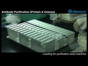 Antibody Purification (Protein A Column)