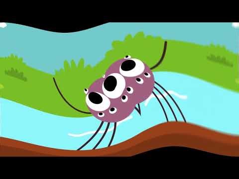 I Love the mountains boom da yada camp song scratch garden center effects