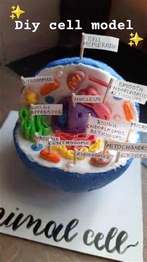 diy animal cell model idea💡✨️ 🦠 #project #model #cell #ideas