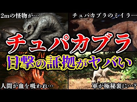[Slow commentary] The legendary UMA Chupacabra is real!? Eyewitness accounts and its true identit...