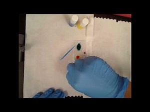 Blood Typing Demonstration