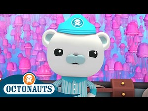 Octonauts - Jellyfish Adventure - Underwater Sea Life