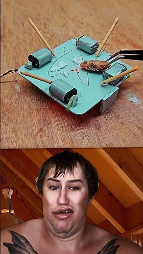 The MODERN Cockroach Trap That's BEATING All Others