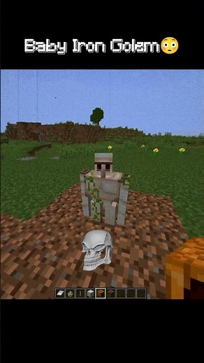 Minecraft Baby Iron Golem #minecraft #irongolem