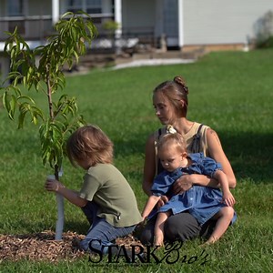 Get the best for your home with Stark Bro's - your one-stop shop for growing fruit trees, berry plants and more. | Stark Bro's Nurseries