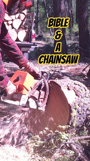 From Tree To Full Firewood Truckload