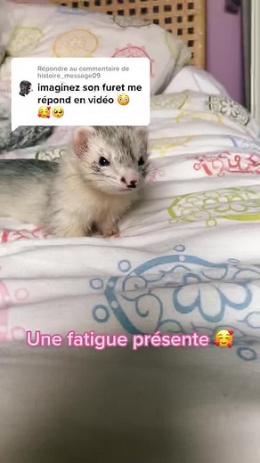 Répondre à @histoire_message09 insta : @ravene_burger / @une_petite_normande ❤️