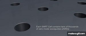 Introduction to SMRT Sequencing on Make a GIF