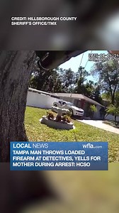 116K views · 1.5K reactions | CHASE: The Hillsborough County Sheriff’s Office said it attempted to take a Tampa man into custody before he threw a loaded firearm at detectives and tried to escape. https://www.wfla.com/top-videos/tampa-man-throws-loaded-firearm-at-detectives-yells-for-mother-during-arrest-hcso/ | WFLA News Channel 8 | Facebook