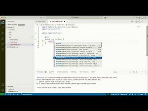 Junit test on VSCode