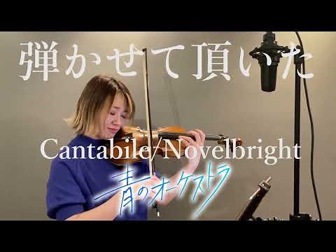 Cantabile / Novelbright バイオリンで弾かせて頂いた。 | TVアニメ『青のオーケストラ』より |"Blue Orchestra" on violin cover