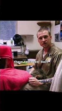 In jail, some prisoners are allowed to have cats as pets for comfort and companionship.