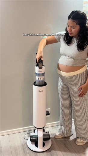 Christmas Cleanup with the Aero Vacuum Cleaner