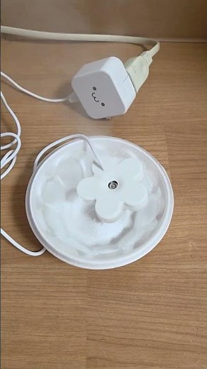 flower mini humidifier 🌼 November 35% →41%😆