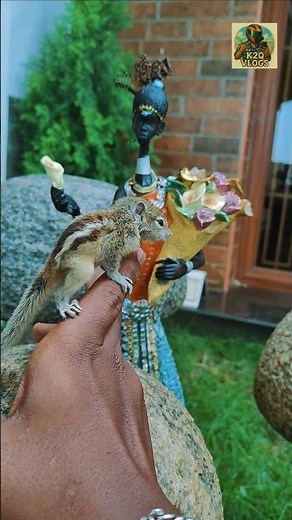 “My Pet Squirrel 🐿️ | Cute and Adorable Moments” #Cutepet