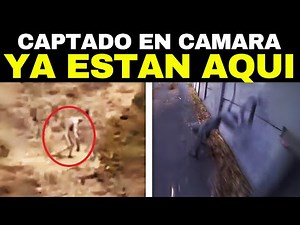 10 Aterradores Monstruos REALES Captados En Video