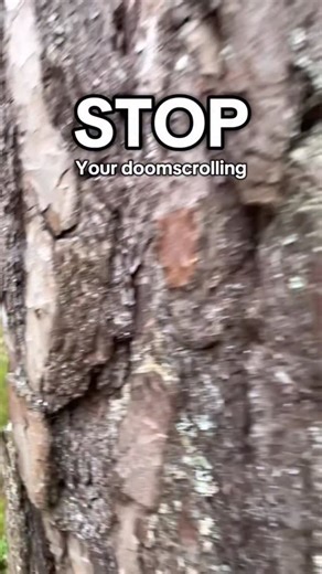 Take a moment to relax your mind. . . . #wildlife #wildlifephotography #nature #animals #relaxing #natureza | Jacob Rheams Photography