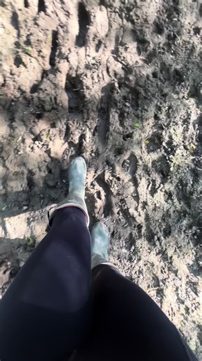 Mud walk # 51 #mud #wellies #muddyboots #mudlife #mudlife