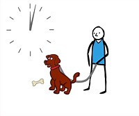 Positive Reinforcement-Operant Conditioning Studies