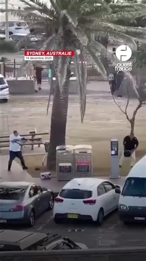 Fusillade en Australie : l’impressionnant geste de cet homme qui désarme l'un des tireurs